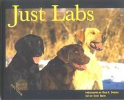 Cover of: Just Labs:  Half-Pint Edition (Just Pets)