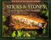 Cover of: Sticks & Stones