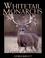 Cover of: Whitetail Monarchs