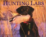 Cover of: Hunting Labs 2004 Calendar by Denver Bryan