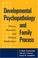 Cover of: Developmental Psychopathology and Family Process
