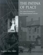 Cover of: The Patina of Place: The Cultural Weathering of a New England Industrial Landscape