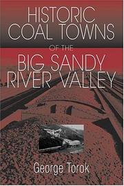A guide to historic coal towns of the Big Sandy River Valley / George D. Torok by George D. Torok