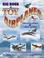 Cover of: Big book of toy airplanes