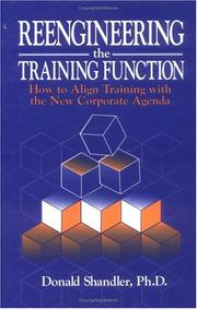 Cover of: Reengineering the Training Function: How to Align Training With the New Corporate Agenda (St Lucie Press)