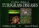 Cover of: Color Atlas of Turfgrass Diseases