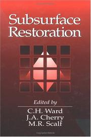 Cover of: Subsurface restoration