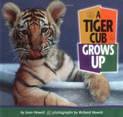 Cover of: A Tiger Cub Grows Up (Baby Animals)