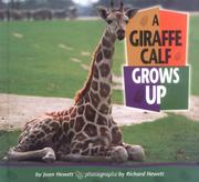 Cover of: A Giraffe Calf Grows Up (Baby Animals)