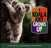 Cover of: A Koala Joey Grows Up (Baby Animals)