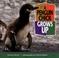 Cover of: A Penguin Chick Grows Up (Baby Animals)