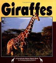 Cover of: Giraffes (Nature Watch)