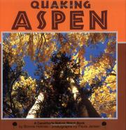 Cover of: Quaking aspen by Bonnie Holmes