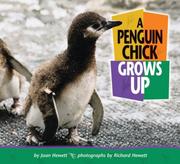 Cover of: A Penguin Chick Grows Up (Baby Animals)