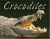 Cover of: Crocodiles (Animal Predators)
