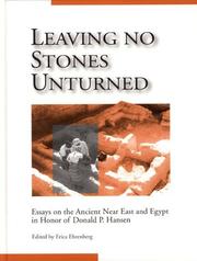 Cover of: Leaving no stones unturned by edited by Erica Ehrenberg.