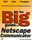 Cover of: The big guide to Netscape communicator 4