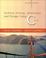 Cover of: Problem solving, abstraction, and design using C++