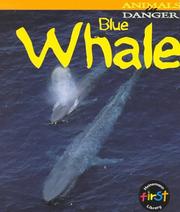 Cover of: Blue Whale (Animals in Danger) by Rod Theodorou