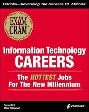 Cover of: Information Technology Careers - The Hottest Jobs for the New Millennium