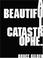 Cover of: A beautiful catastrophe
