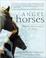 Cover of: Angel Horses