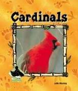 Cardinals (Animal Kingdom) by Julie Murray