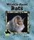 Cover of: Wrinkle-Faced Bats (Animal Kingdom)