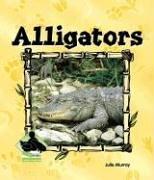 Cover of: Alligators (Animal Kingdom) by Julie Murray