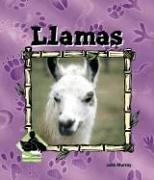 Cover of: Llamas (Animal Kingdom) by 