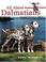 Cover of: All About Dalmatians