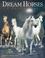 Cover of: Dream Horses