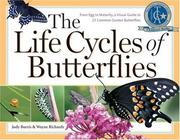 Cover of: The life cycles of butterflies by Judy Burris