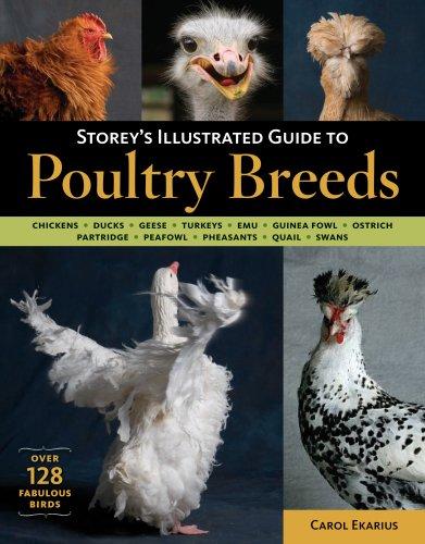 Storey's Illustrated Guide to Poultry Breeds by Carol Ekarius