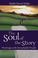 Cover of: The soul of the story : meetings with remarkable people