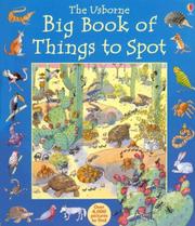 Cover of: The Usborne Big Book of Things to Spot (1001 Things to Spot) by Ruth Brocklehurst, Gillian Doherty, Anna Milbourne