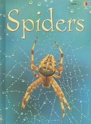 Cover of: Spiders (Usborne Beginners)