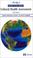 Cover of: Pocket guide to cultural health assessment