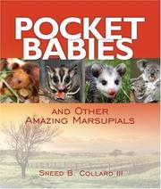 Cover of: Pocket Babies And Other Amazing Marsupials