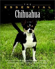 Cover of: The essential Chihuahua