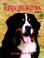 Cover of: The Bernese mountain dog today