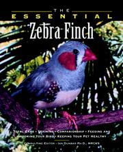 Cover of: The essential zebra finch by Pamela Leis Higdon, consulting editor.