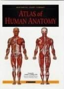 Cover of: Atlas of human anatomy. by Springhouse