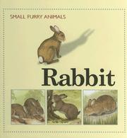 Cover of: Rabbit (Small Furry Animals)