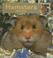 Cover of: Hamsters (My First Look at: Pets) (My First Look at: Pets)