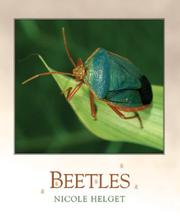 Cover of: Beetles (Bugbooks)