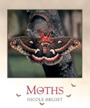 Cover of: Moths (Bugbooks)