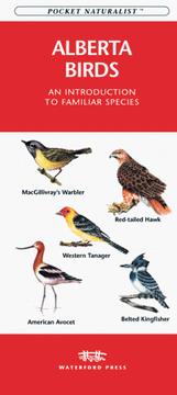 Cover of: Alberta Birds | James Kavanagh