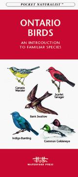 Cover of: Ontario Birds