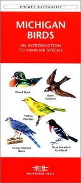 Cover of: Michigan Birds by James Kavanagh